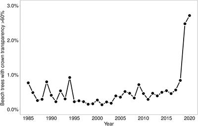 37 Years of Forest Monitoring in Switzerland: Drought Effects on Fagus sylvatica